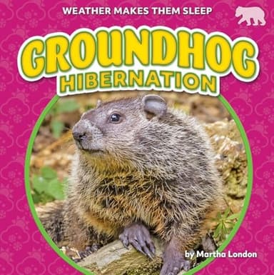 Cover of Groundhog Hibernation