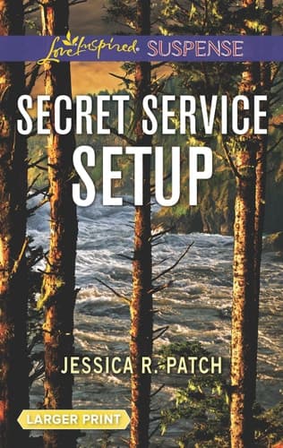 Cover of Secret Service Setup