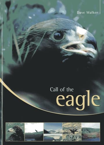 Cover of Call of the eagle