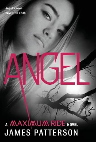 Cover of Angel