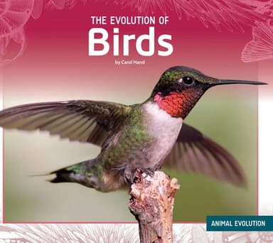 Cover of Evolution of Birds