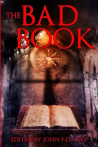 Cover of Bad Book