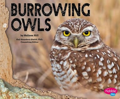 Cover of Burrowing Owls