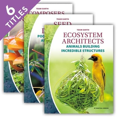 Cover of Team Earth (Set)