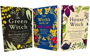 Cover of The House Witch 3