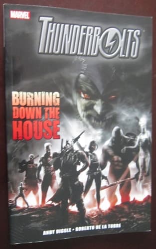 Cover of Thunderbolts - Burning down the House