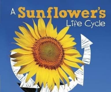 Cover of Explore Life Cycles Pack a Of 6
