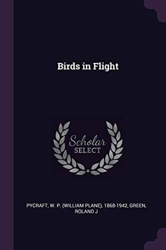 Cover of Birds in Flight