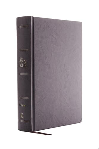 Cover of NIV, Open Bible
