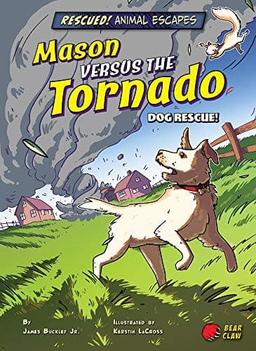 Cover of Mason Versus the Tornado