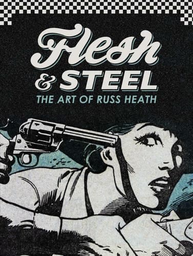 Cover of Flesh & steel