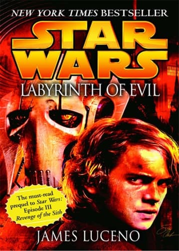 Cover of Labyrinth of Evil