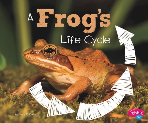 Cover of Frog's Life Cycle