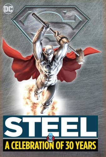 Cover of Steel : a Celebration of 30 Years