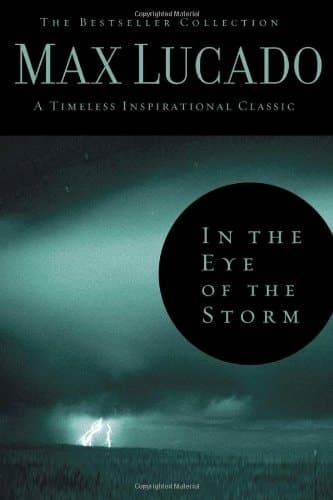 Cover of In the Eye of the Storm