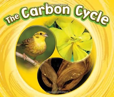 Cover of Carbon Cycle