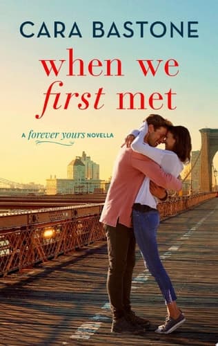 Cover of When We First Met