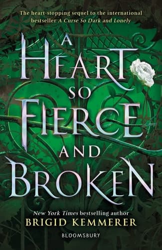 Cover of A Heart So Fierce and Broken