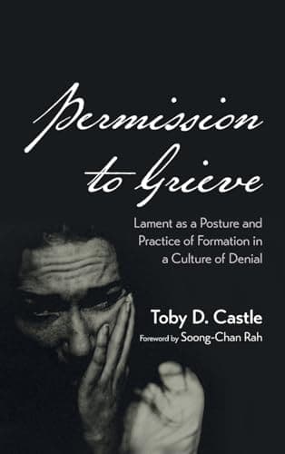 Cover of Permission to Grieve