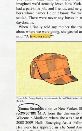 Cover of Fly Over State