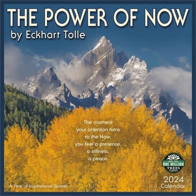 Cover of The Power of Now. Sila nastojaschego