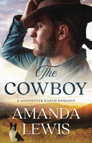 Cover of Cowboy