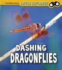 Cover of Dashing Dragonflies