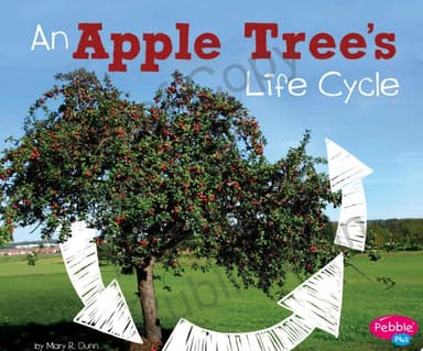 Cover of Apple Tree's Life Cycle