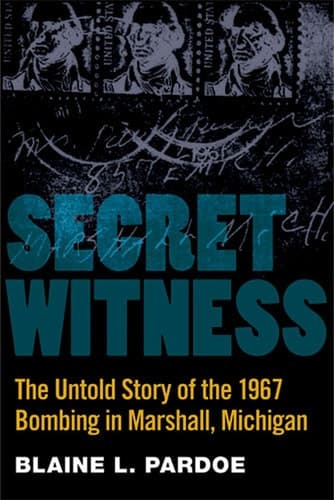 Cover of Secret witness