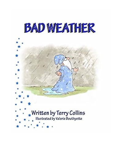 Cover of Bad Weather