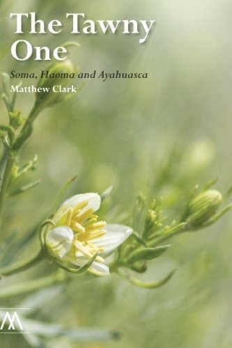 Cover of Tawny One