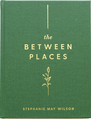 Cover of The Between Places