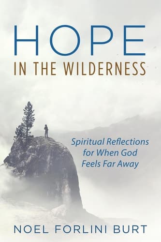Cover of Hope in the Wilderness