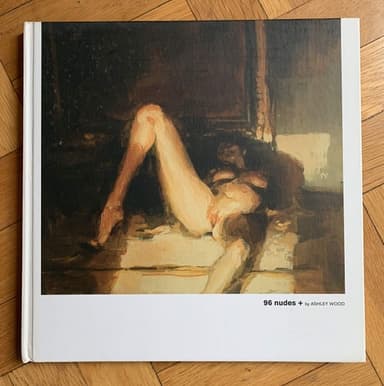 Cover of 96 nudes +