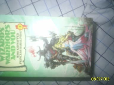 Cover of Wizards Warriors and You Who Kidnapped Princess Saralinda Book 3