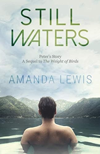 Cover of Still Waters : Peter's Story