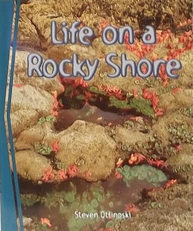 Cover of Life on a Rocky Shore (Guided Reading) Newbridge Discovery Links Grade 4
