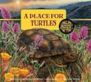 Cover of Place for Turtles