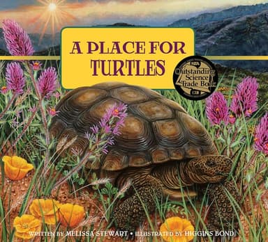 Cover of Place for Turtles