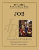 Cover of Job