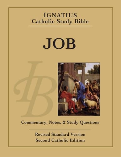 Cover of Job