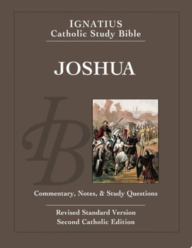 Cover of Joshua