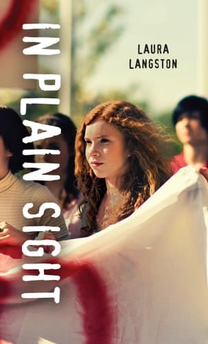 Cover of In Plain Sight