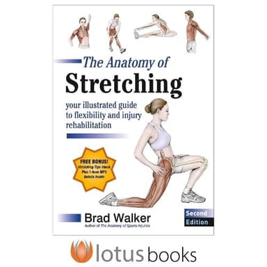 Cover of Anatomy of Stretching - Your Illustrated Guide to Flexibility and Injury Rehabilitation
