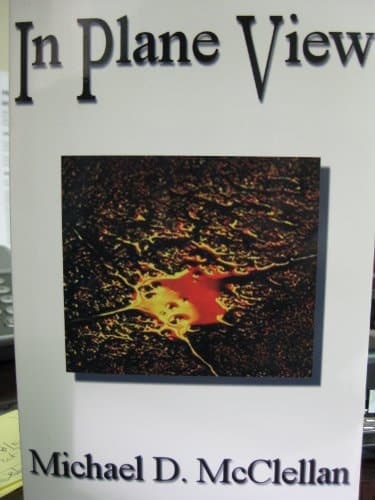 Cover of In Plane View