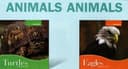 Cover of Animals Animals Group 9