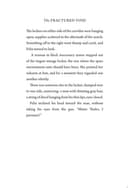Cover of Fractured Void