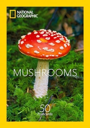 Cover of National Geographic Mushrooms Postcards