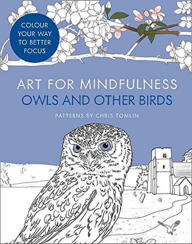 Cover of Art for Mindfulness Owls and Other Birds