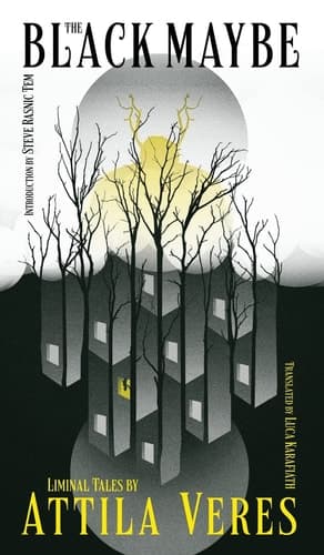 Cover of Black Maybe